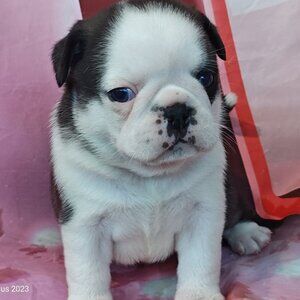 Meet your Posher, Jenina